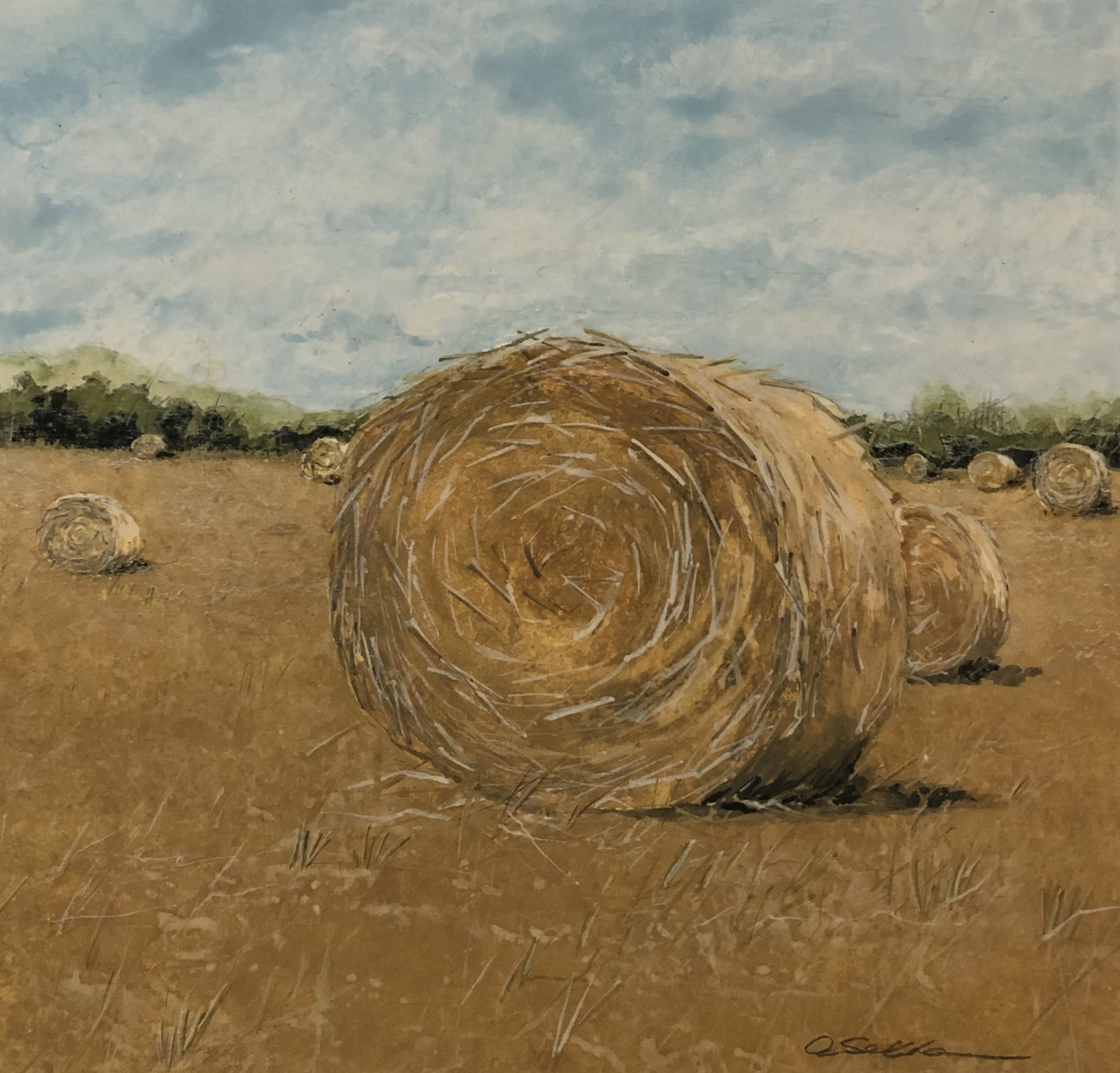 Cinnamon Roll; Portrait of a Hay Bale