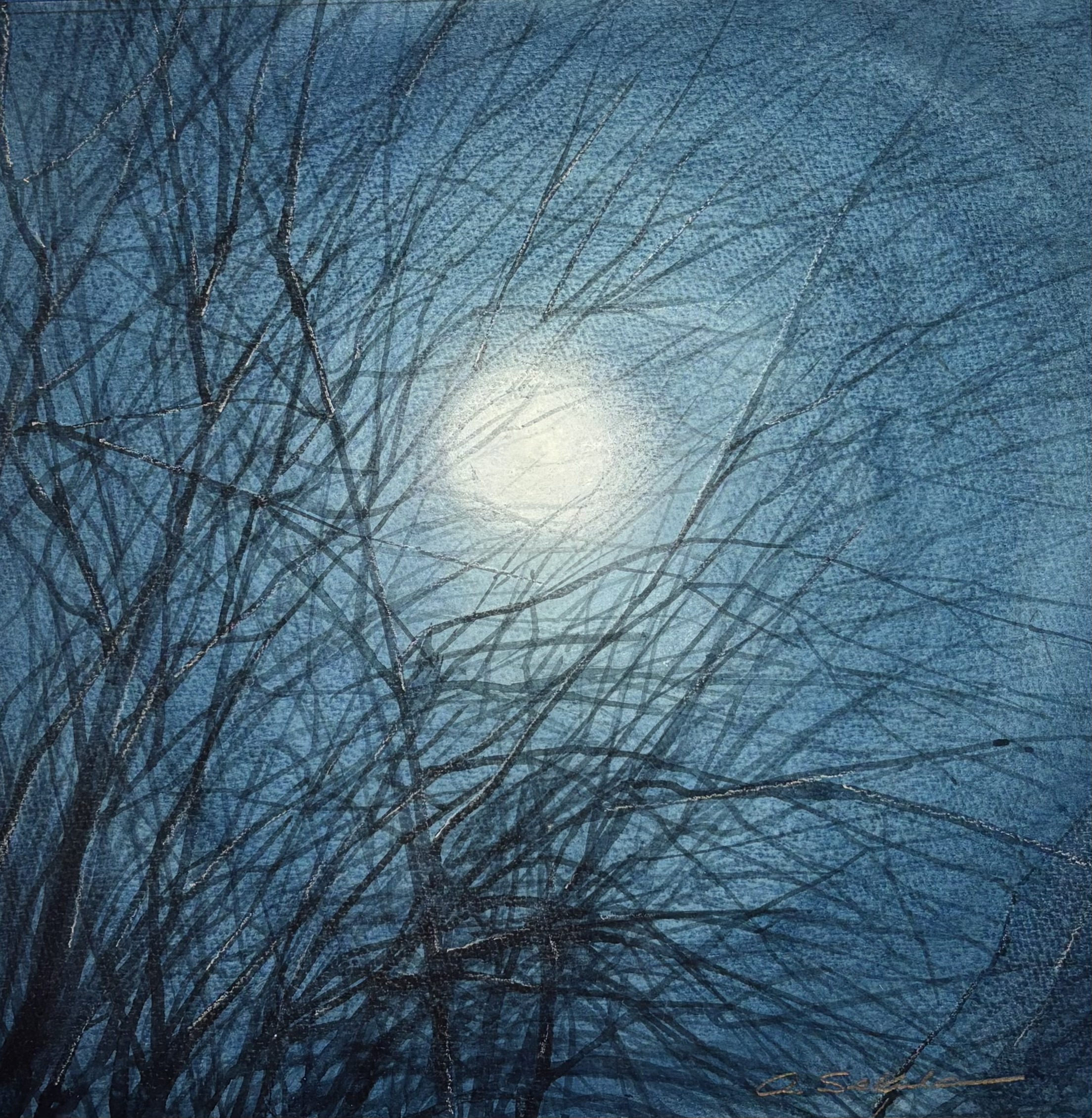 Winter’s Willow Night